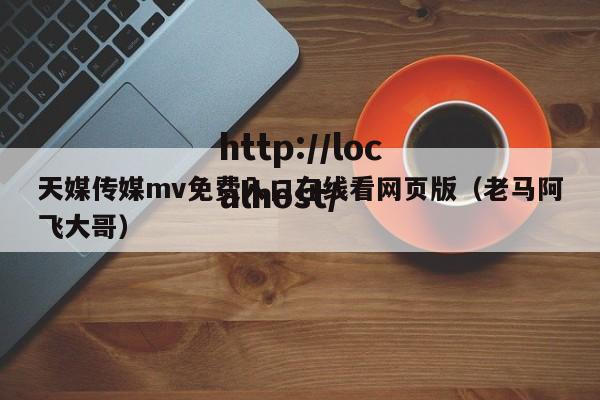天媒传媒mv免费入口在线看网页版（老马阿飞大哥）